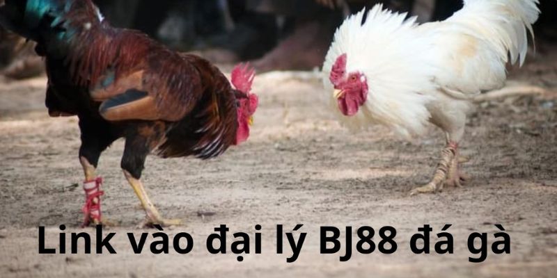 Câu hỏi thường gặp cho đối tác khi tham gia làm đại lý BJ88