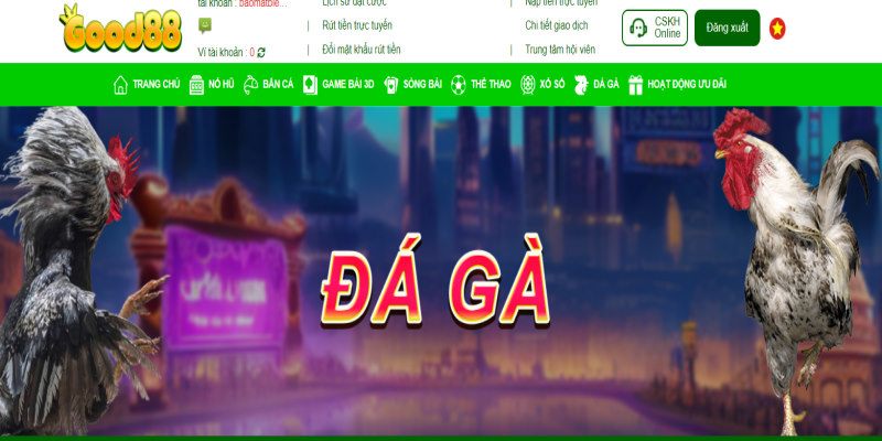 Đá Gà GOOD88 là nơi mọi cược thủ có được trải nghiệm giải trí hấp dẫn