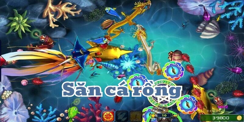 Bắn cá rồng 69vn đổi thưởng đỉnh cao